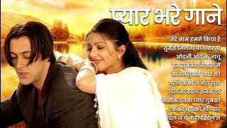 Hindi Evergreen Songs | love filled song Painful songs 90s Hindi Songs