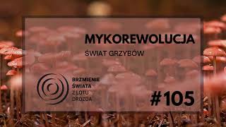 #105 - O grzybach, grzybkach i ich znaczeniu (gościni: prof. Marta Wrzosek)