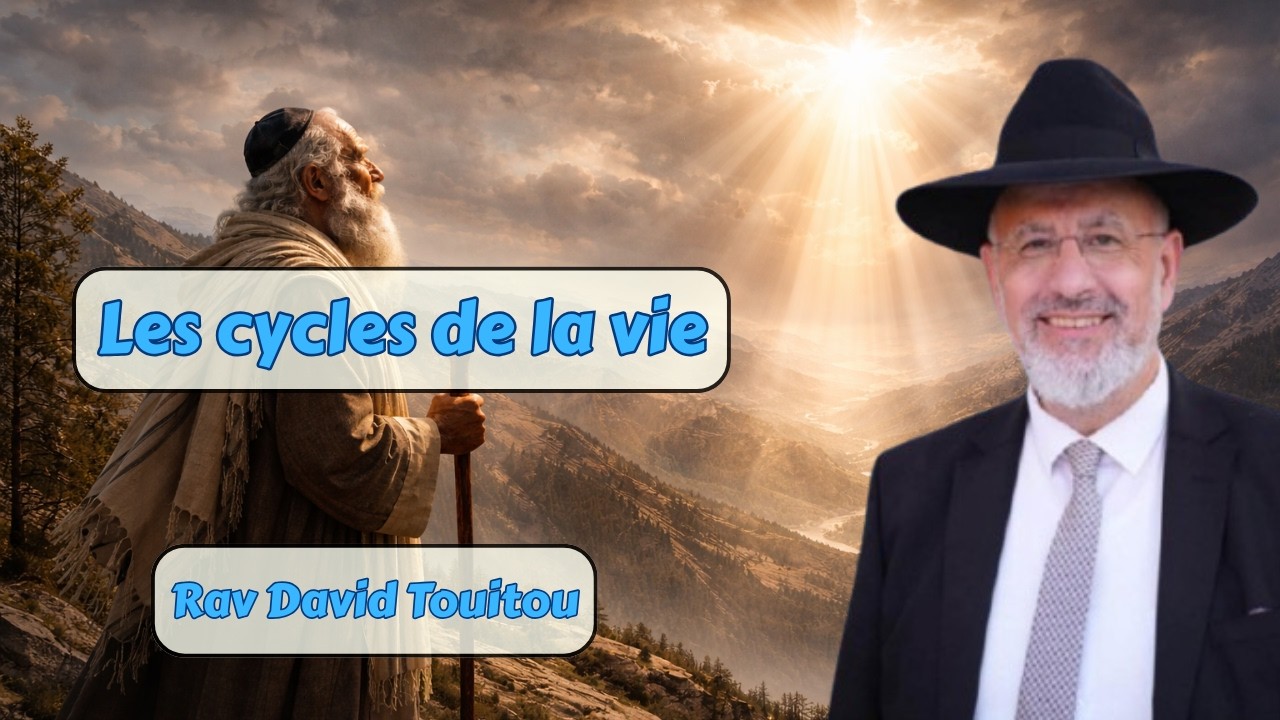 Les cycles de la vie