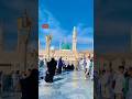 Masha,Allah makkah live madina live #makkah #madina #shorts #hajjlive #shortvideo #mecca