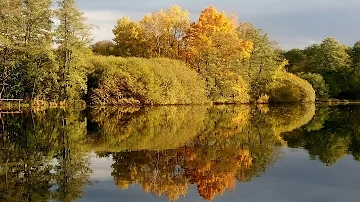 Jaké jsou výhody bydlení v blízkosti přírodního rybníka?