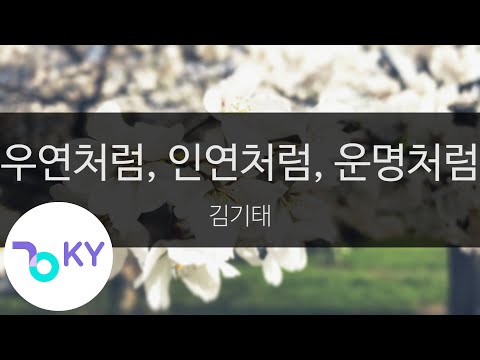 우연처럼 인연처럼 운명처럼 김기태 Like A Coincidence Like A Relationship Like Fate KimKiTae KY 23801 KY Karaoke