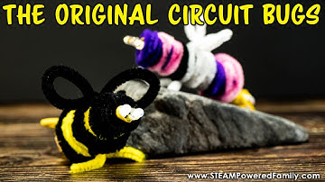 The Original Circuit Bugs STEM Project