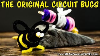The Original Circuit Bugs STEM Project