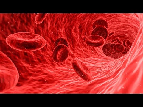 Video: ¿Qué significa la palabra hematología?