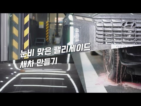 구독자님의 팰리세이드 겨울 흔적 지워드리기