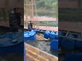 Add buoyancy to the small building#Shorts