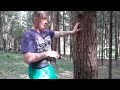 Отработка ударов на дереве от суперчеловека