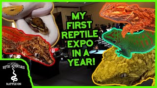 TOURING A REPTILE EXPO IN A PANDEMIC (Is it safe?)