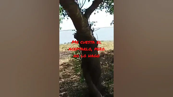 14 de marzo de 2023