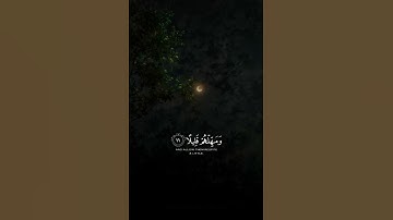 #قران_كريم 😔القارئ عبدالرحمن مسعد 🤍