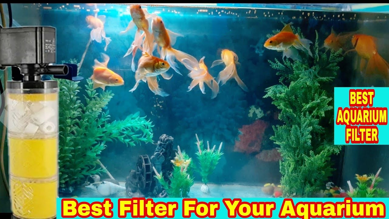 Best Filter For Your Aquarium aquarium filter setup Sobo aquarium filter pump YouTube