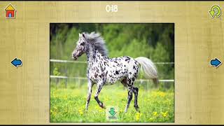 Dog Puzzles - Relaxing photo picture puzzles for kids and adults by App Family AB / Game 22 screenshot 3