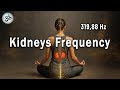 319 88 Hz Kidneys Frequency Harmonize The Energy Of The Kidneys Let Go Of Fear Tuning Fork 319 88 Hz Kidneys Frequency Harmonize The Energy Of The Kidneys Let Go Of Fear Tuning Fork