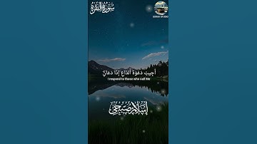 سورة البقرة | القارئ اسلام صبحي (186) #القرآن_الكريم #سورة #سورة_البقرة #اسلام_صبحي #راحة_نفسية