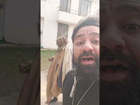 YE KYA HOGYA BRO 😲  #sunday #shorts