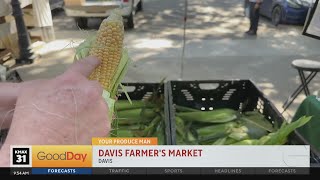 Davis Farmer's Market, 9am