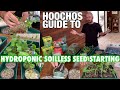 Beginners Guide to Hydroponic Soilless Seed Starting