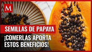 Did you know that papaya seeds are edible? They also provide all of these benefits to your body.