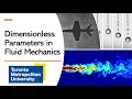 Understanding Dimensionless Parameters in Fluid Mechanics