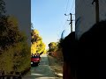 این فضایی خزانی😍🍁 #beats #reels #travel #nature #kabul #afghan #afghansitan #explore #shortvideo