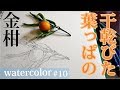 水彩画の下描きスケッチ【金柑】超初心者の方へ