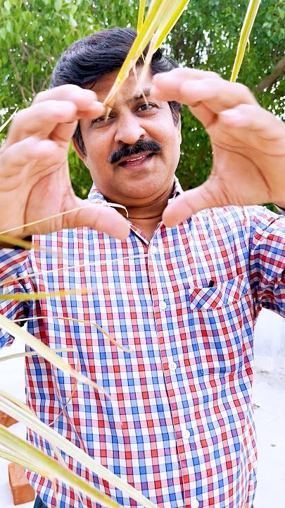 Dil Kya Kare Jab Kisi Ko Kisi Se Pyar Ho Jaaye