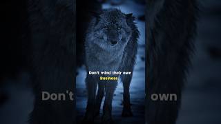 Sigma Rule 🔥 don't mind their own business 🔥#motivation #motivationalquotes #shorts