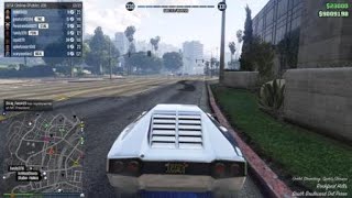 Grand Theft Auto V NPC Commiting Suicide