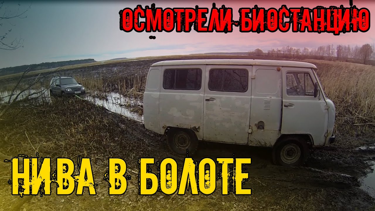 НИВА в грязи! УАЗ Буханка пришла на помощь. Осмотрели Биологическую ...