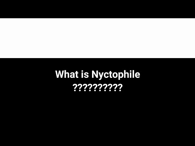 What is the meaning of the Nyctophile ? class=