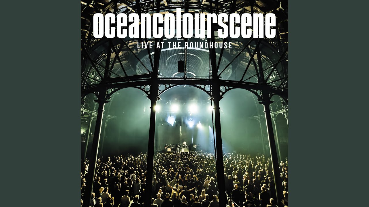 It's My Shadow [Live]