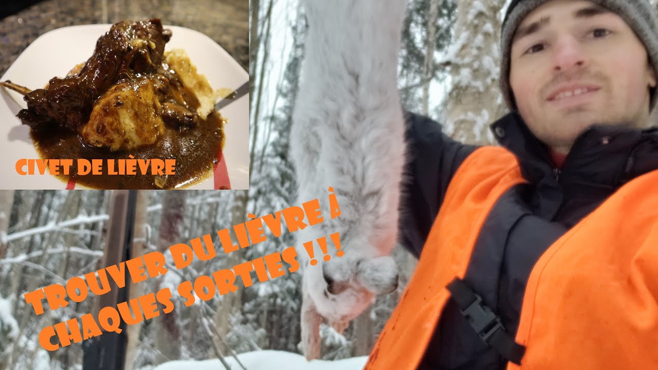 chasse au lièvre dans la neige fraîche et civet de lièvre