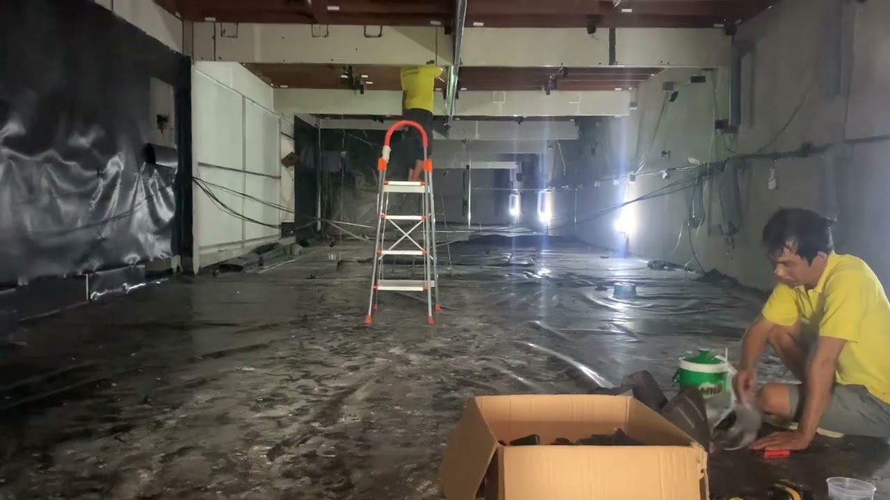 Cách tăng đàn chim yến , khi khắc phục nhà yến tại rạch giá kiên giang sau hơn 2 tháng