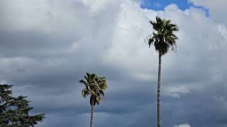 Partly Cloudy, Dark Cloud & WNW To NW Light Winds 3:39pm Mar 24, 2024