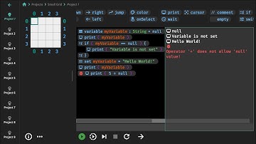 Short Programming Lesson 4 - Understanding Null