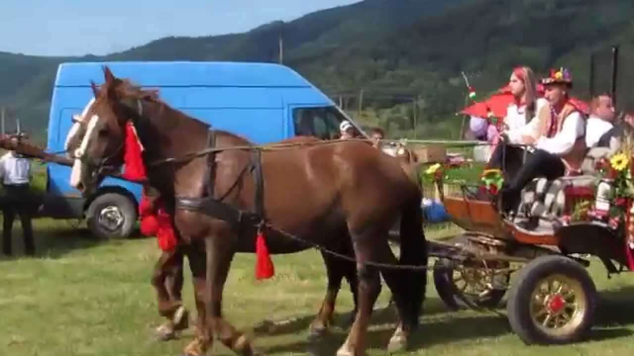 Уряд пропонує заборонити з 2030 року ввезення в Україну бензинових і дизельних автомобілів - Цензор.НЕТ 5734