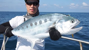 Câu Bè Trang tại Côn Đảo