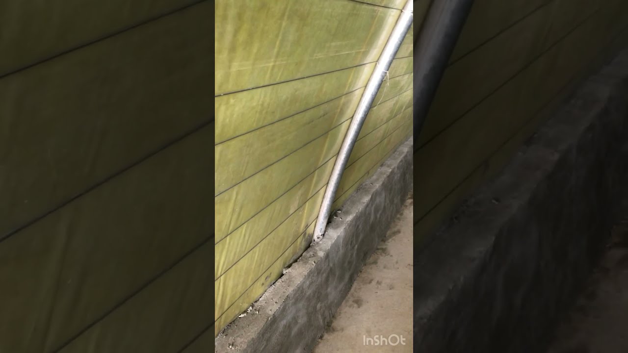 سلبيات وايجابيات عنبر الصوبة والفرق بينها وبين المزرعة التقليدية 👌🐇