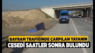 Bayram Trafiğinde Çarpılan Yayanın Cesedi Saatler Sonra...- Denizli Haberleri - Haberdeni̇zli̇