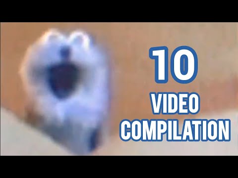 Screaming Blue Thing With Different Video And Sound Effect Compilation
