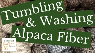 Tumbling & Washing Alpaca Fiber (Fleece)