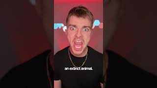 Fishermen Who Caught Everything But A Fish