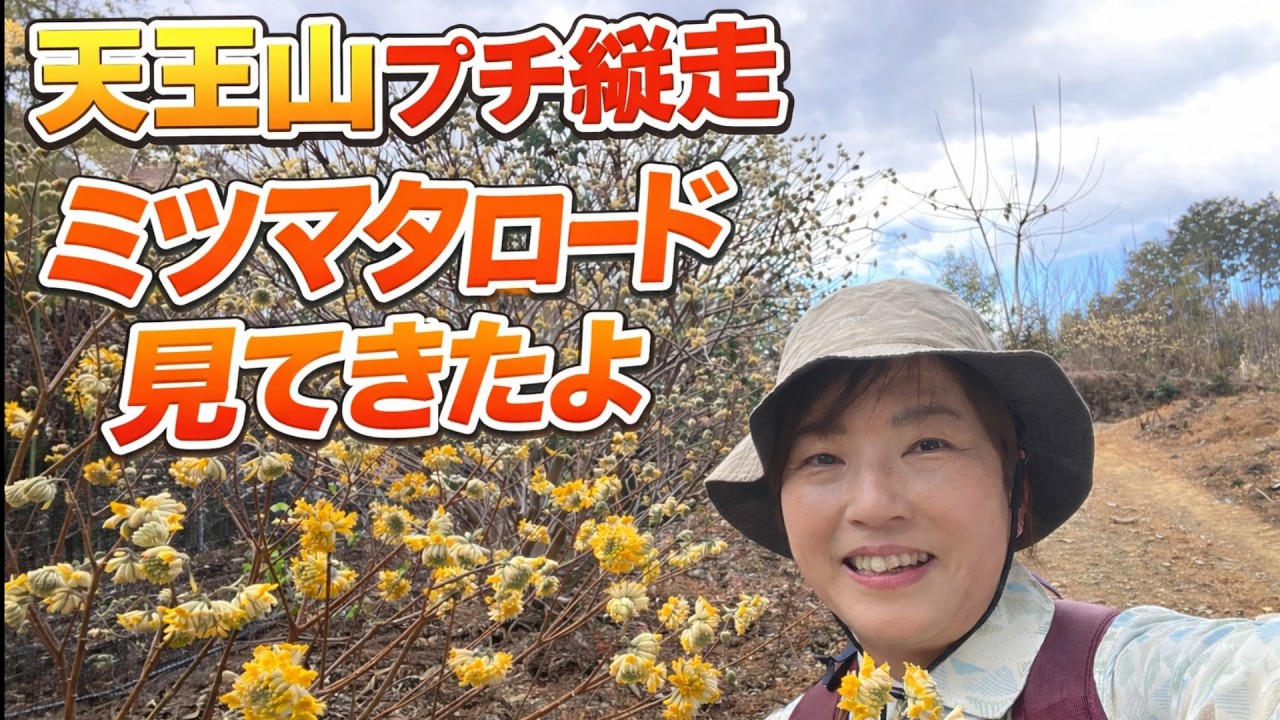 Low Mountains in Kansai: Mitsumata Road - Tennozan - Suntoryyama