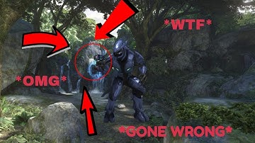 halo mcc in a nutshell