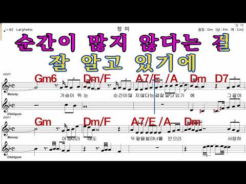 장미   이선희  가수처럼 엠알로  악보  노래 하기  여 원키  Dm