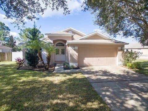 10809 Windbury Way, Riverview, FL home video tour