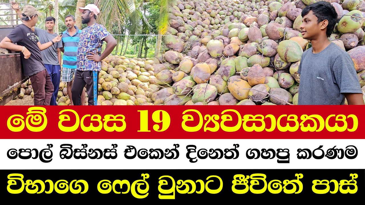 විභාගෙ ෆේල් වුනාට ජීවිතේ පාස් | මේ වයස 19 ව්‍යවසායකයා | පොල් බිස්නස් එකෙන් දිනෙත් ගහපු කරණම