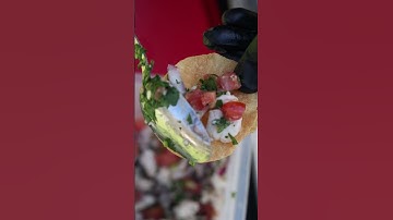 Wonderful Red Snapper Ceviche Appetizers