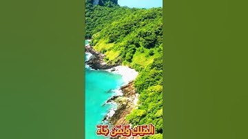 سورة يوسف و،،كا.نك تسمعها لأ..و.ل مر.ة 🌻،.💘💝،💔..💞💜🥀بصوت الشيخ حمزة مد.بو.ح🧡.💮💟،💘،.💛..🌸💗
